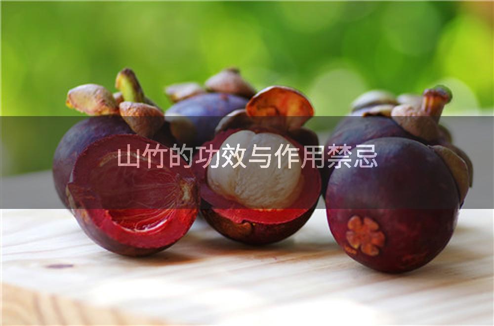 山竹的功效与作用禁忌
