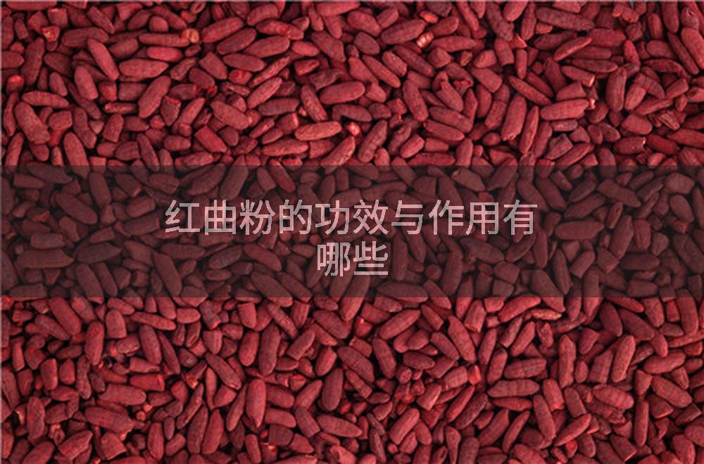 红曲粉的功效与作用有哪些
