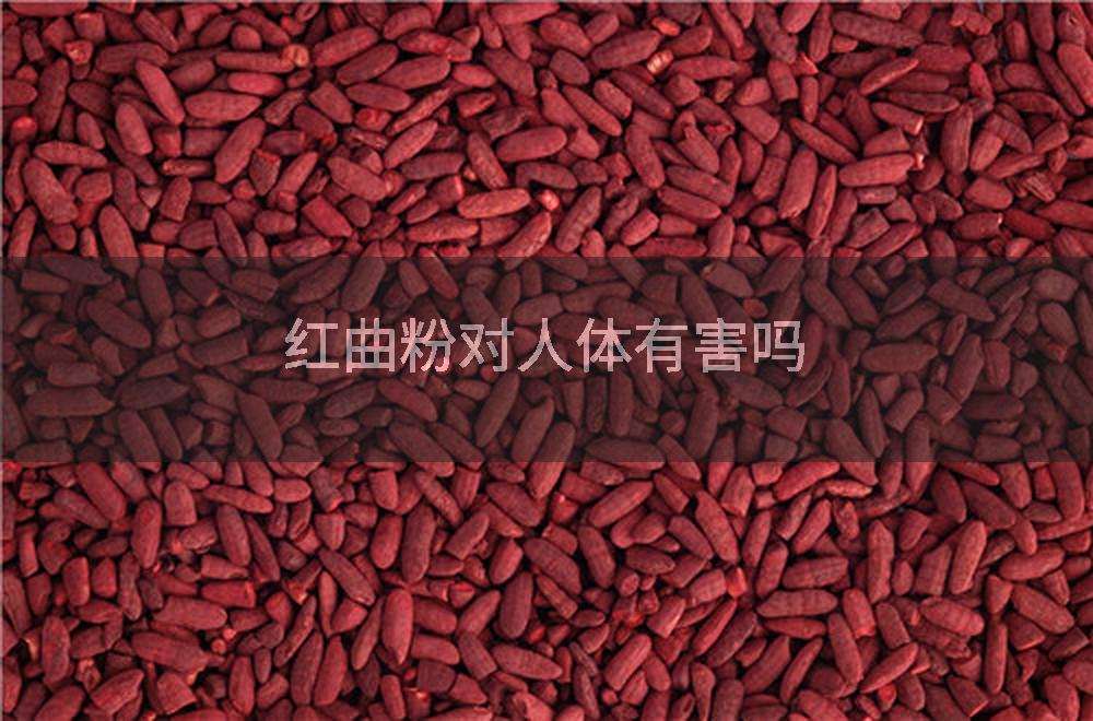 红曲粉对人体有害吗