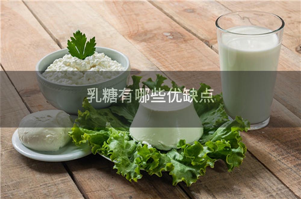 乳糖有哪些优缺点