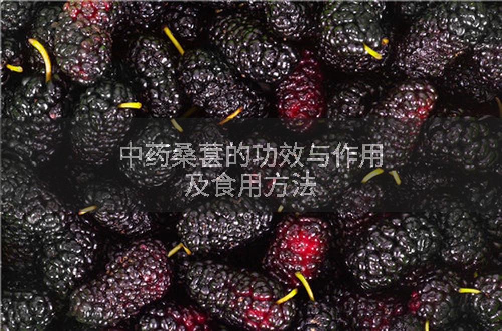 中药桑葚的功效与作用及食用方法