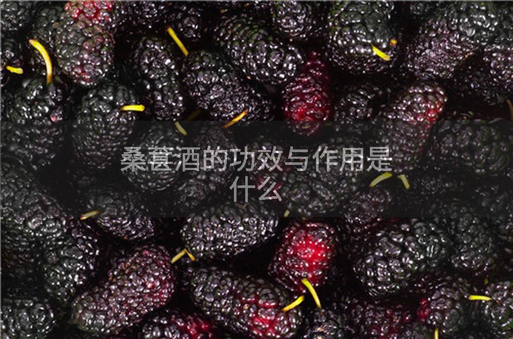 桑葚酒的功效与作用是什么