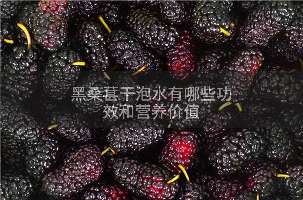 黑桑葚干泡水有哪些功效和营养价值
