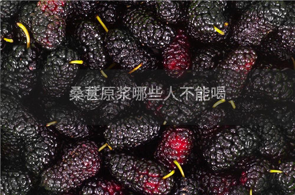 桑葚原浆哪些人不能喝