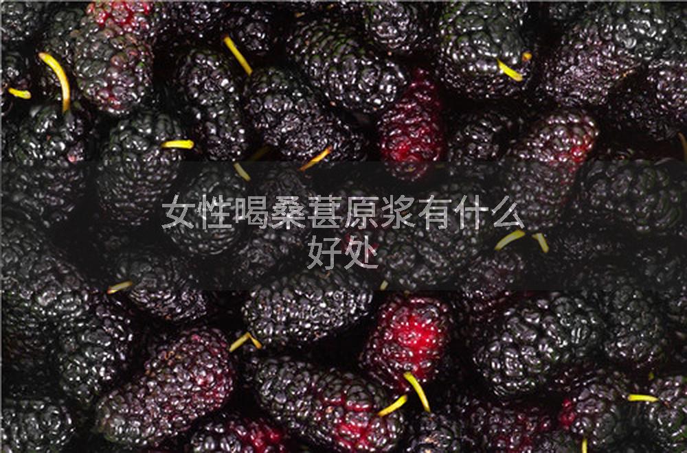 女性喝桑葚原浆有什么好处