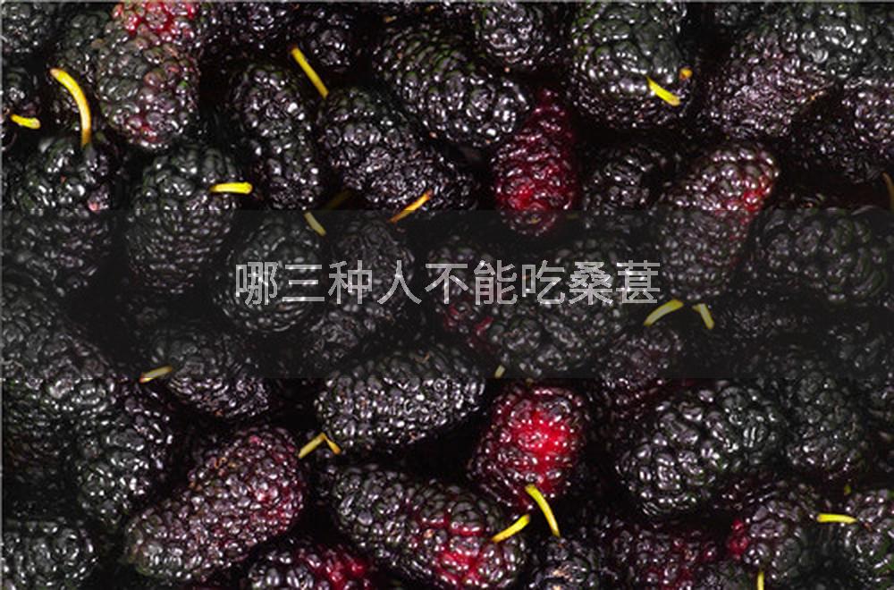 哪三种人不能吃桑葚