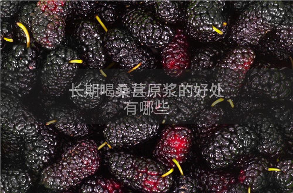长期喝桑葚原浆的好处有哪些