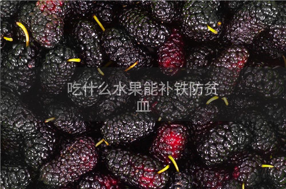 吃什么水果能补铁防贫血