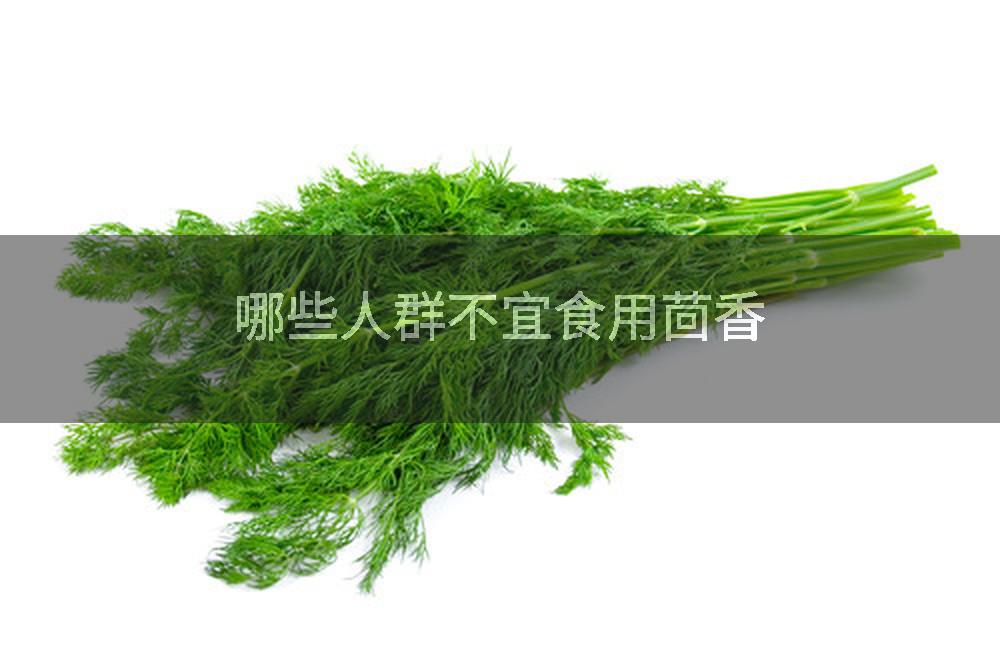 哪些人群不宜食用茴香
