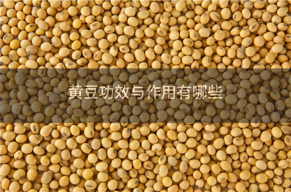 黄豆功效与作用有哪些