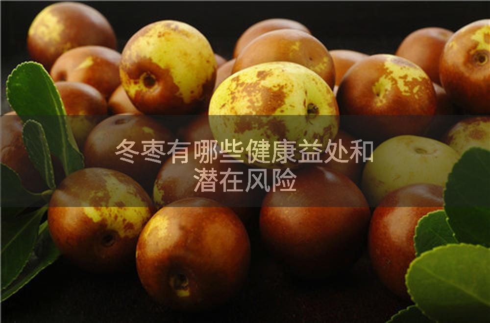 冬枣有哪些健康益处和潜在风险