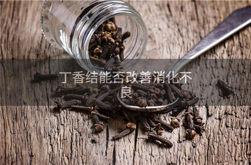 丁香结能否改善消化不良