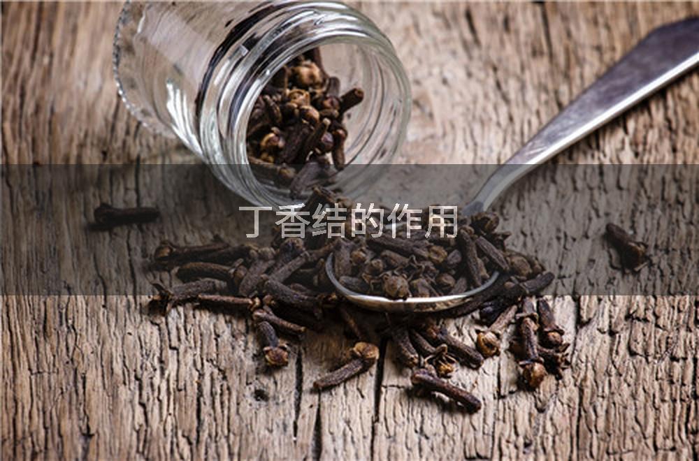丁香结的作用