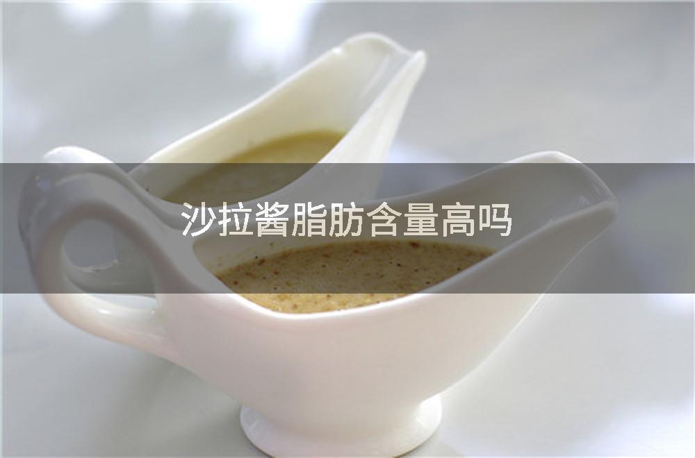沙拉酱脂肪含量高吗