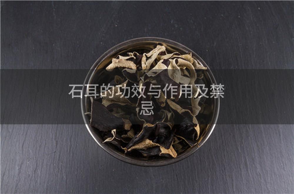 石耳的功效与作用及禁忌