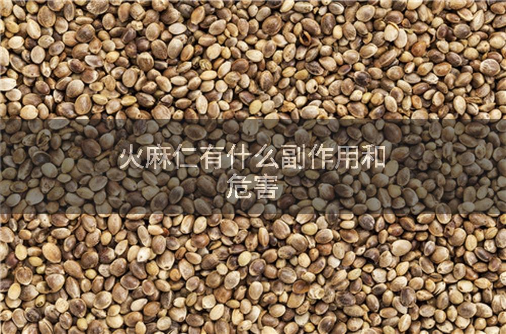火麻仁有什么副作用和危害