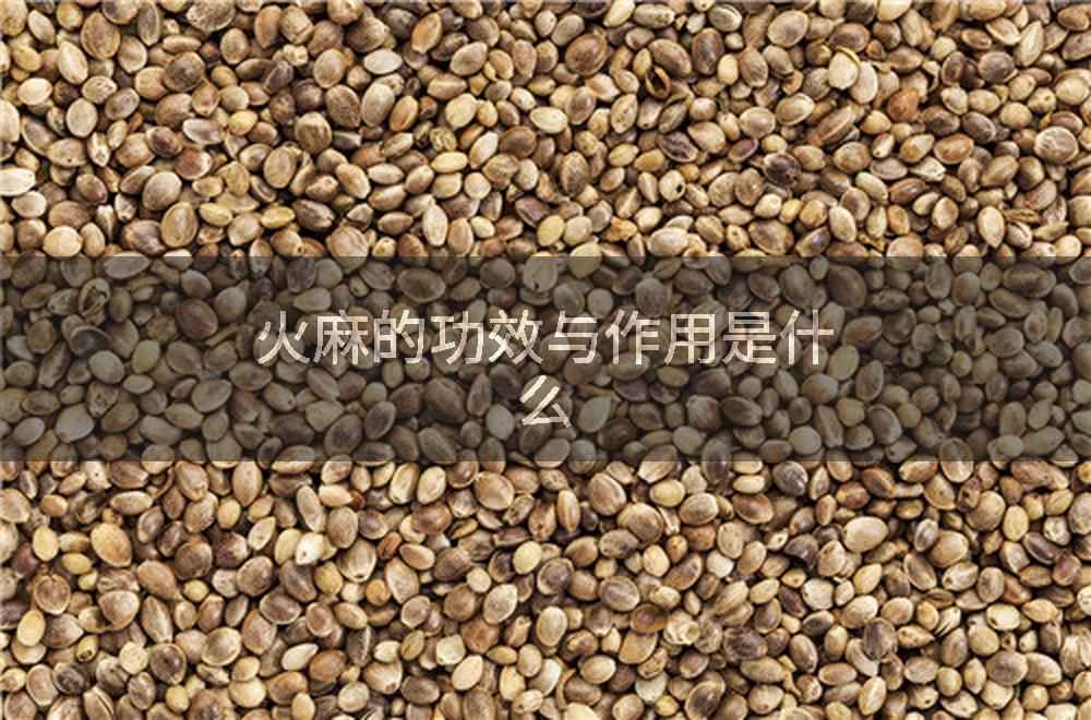 火麻的功效与作用是什么