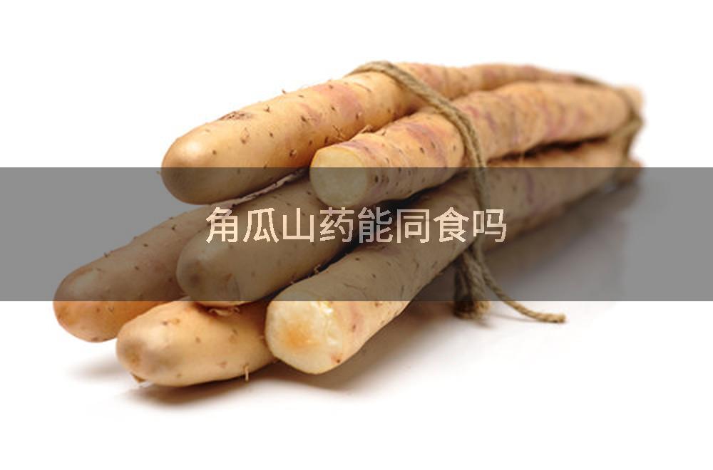 角瓜山药能同食吗
