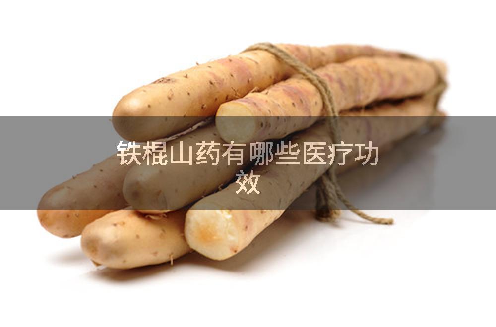 铁棍山药有哪些医疗功效