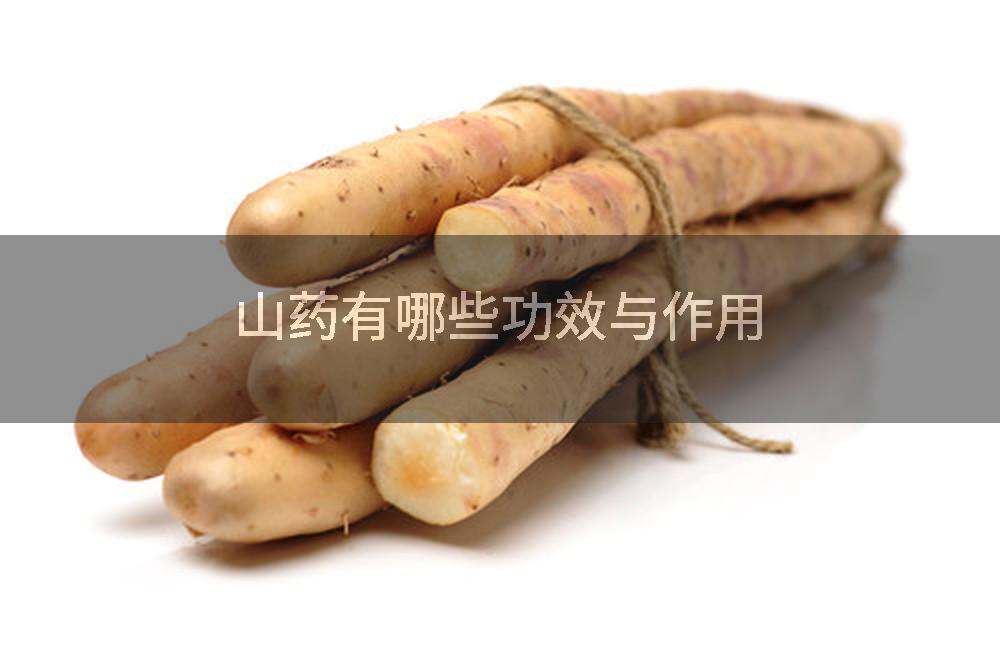 山药有哪些功效与作用
