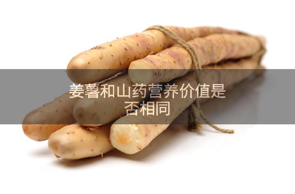 姜薯和山药营养价值是否相同
