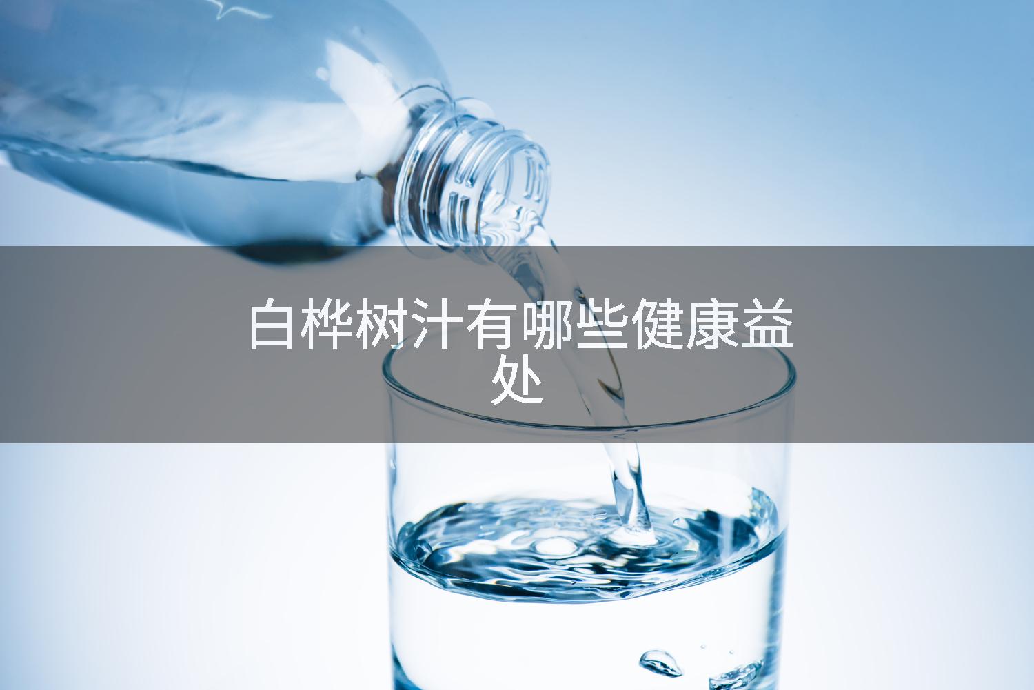 白桦树汁有哪些健康益处