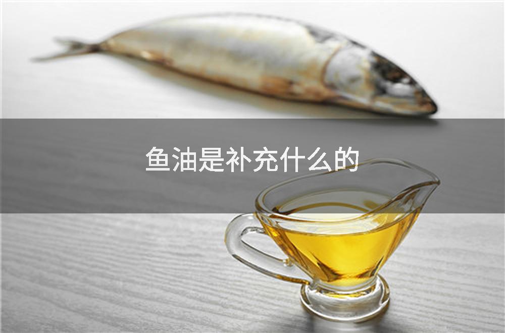 鱼油是补充什么的