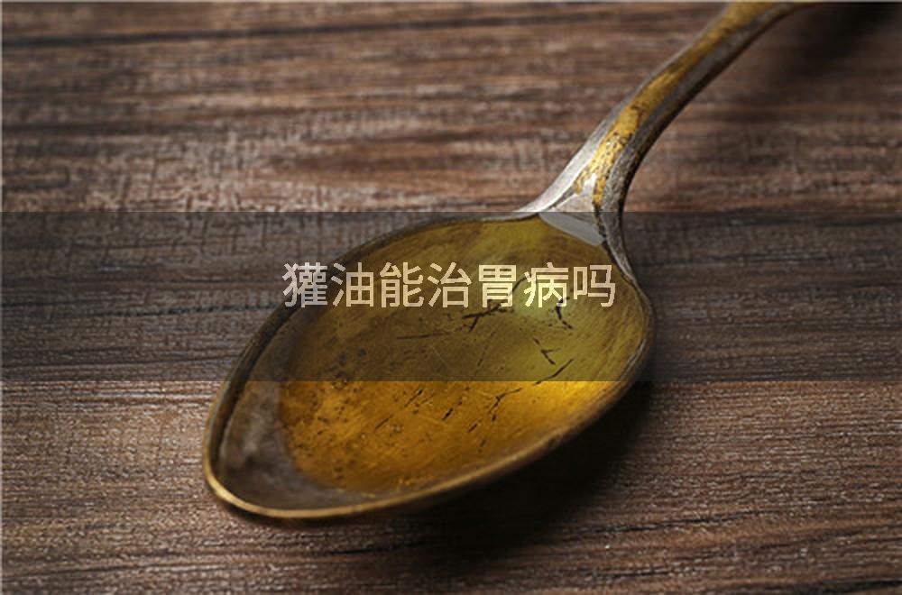 獾油能治胃病吗