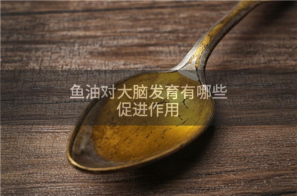 鱼油对大脑发育有哪些促进作用