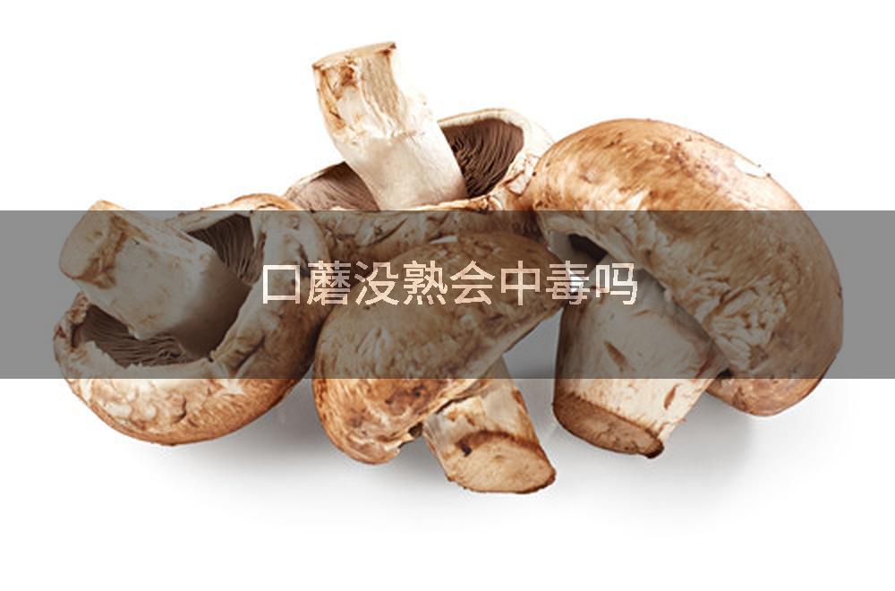 口蘑没熟会中毒吗