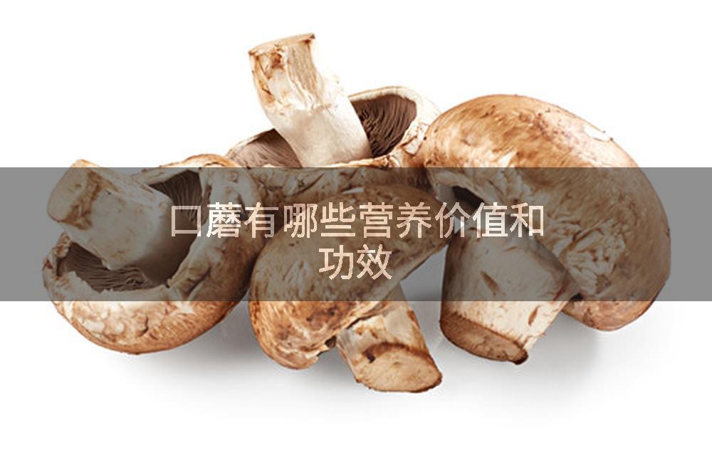 口蘑有哪些营养价值和功效