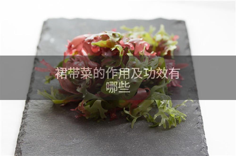 裙带菜的作用及功效有哪些