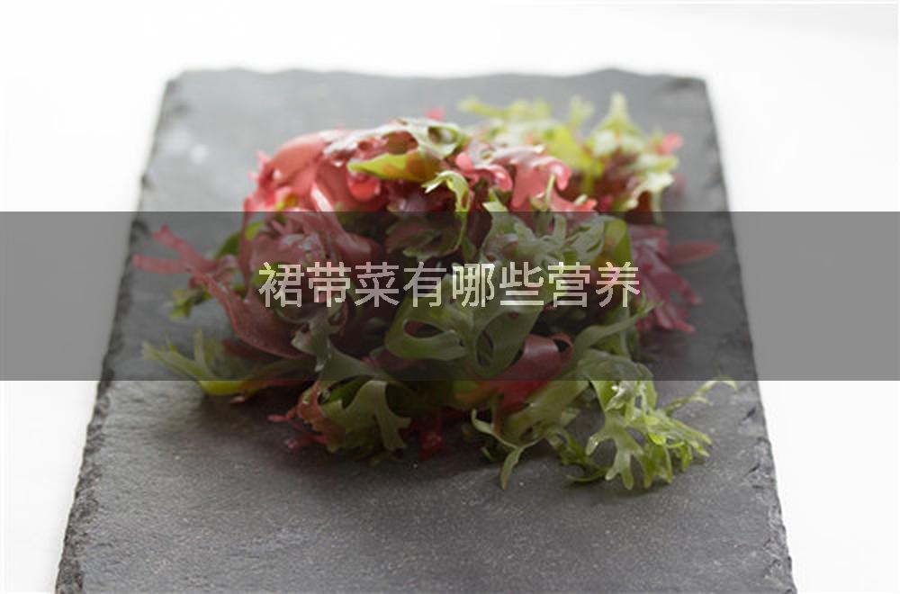裙带菜有哪些营养