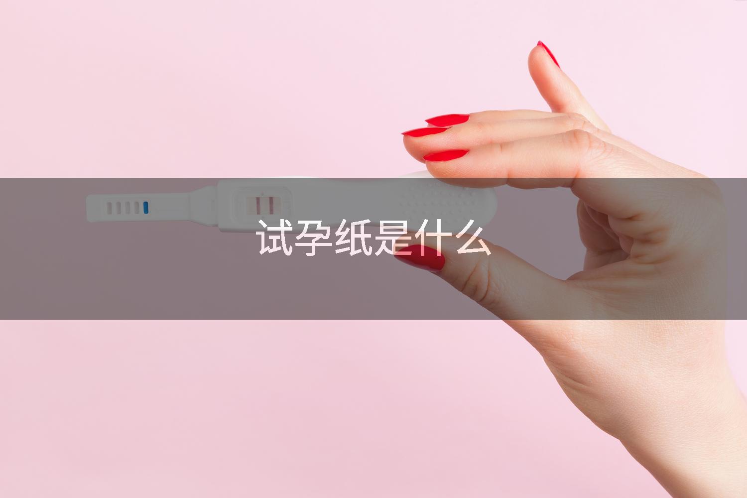 试孕纸是什么