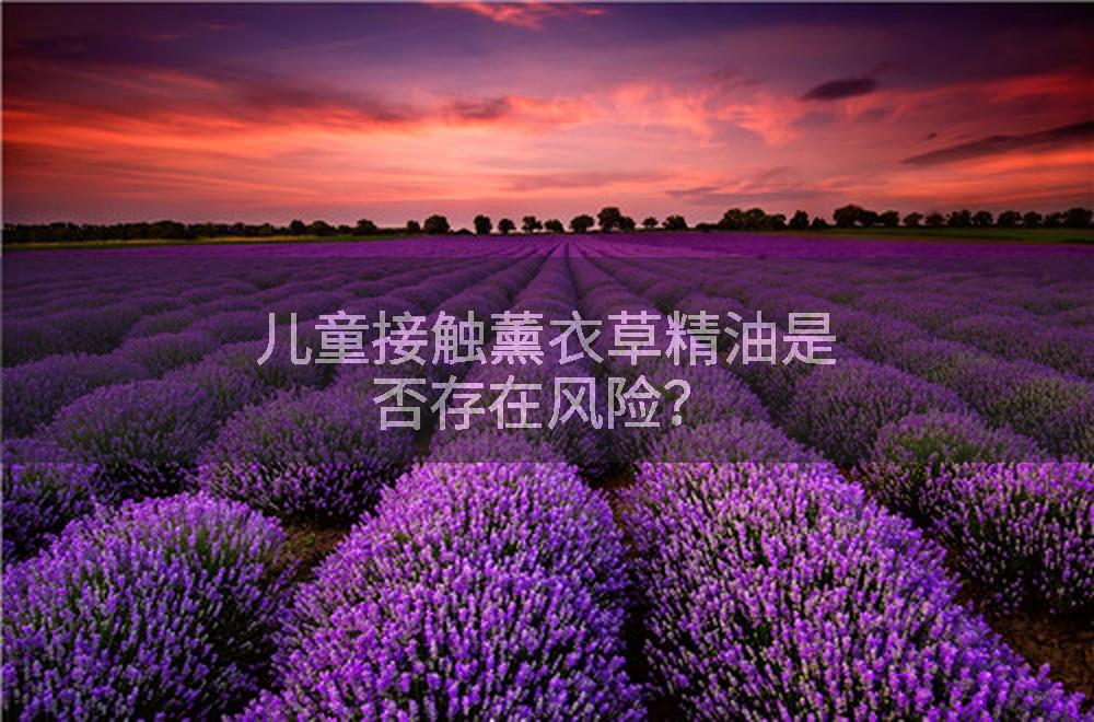 儿童接触薰衣草精油是否存在风险？