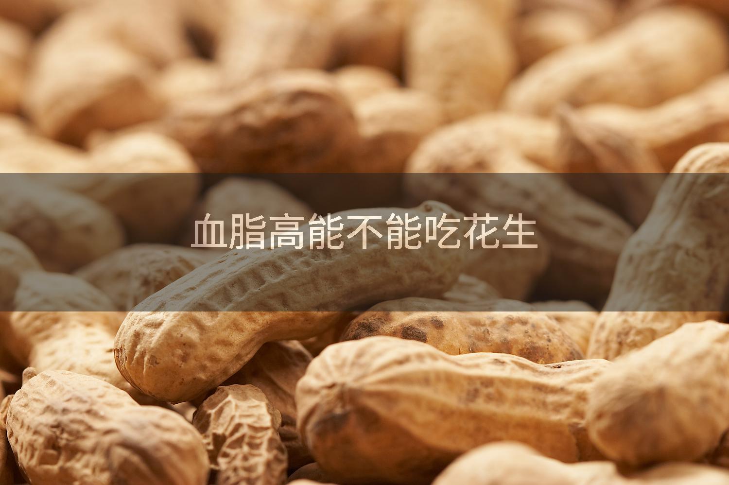 血脂高能不能吃花生