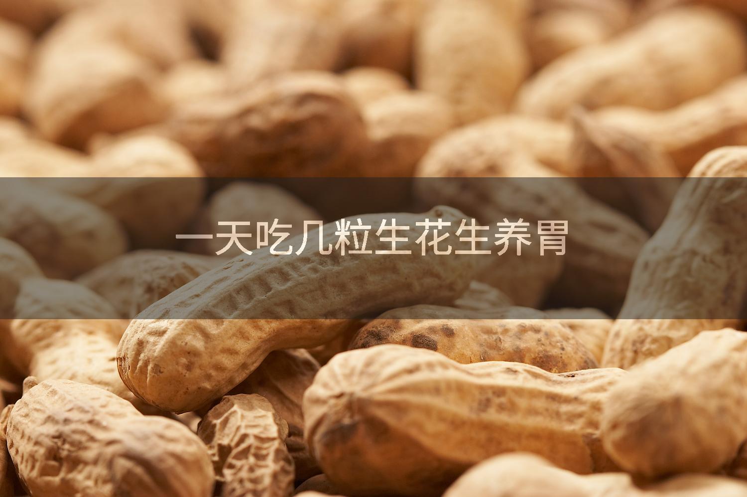 一天吃几粒生花生养胃