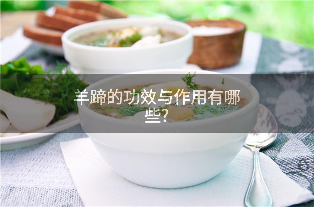 羊蹄的功效与作用有哪些?