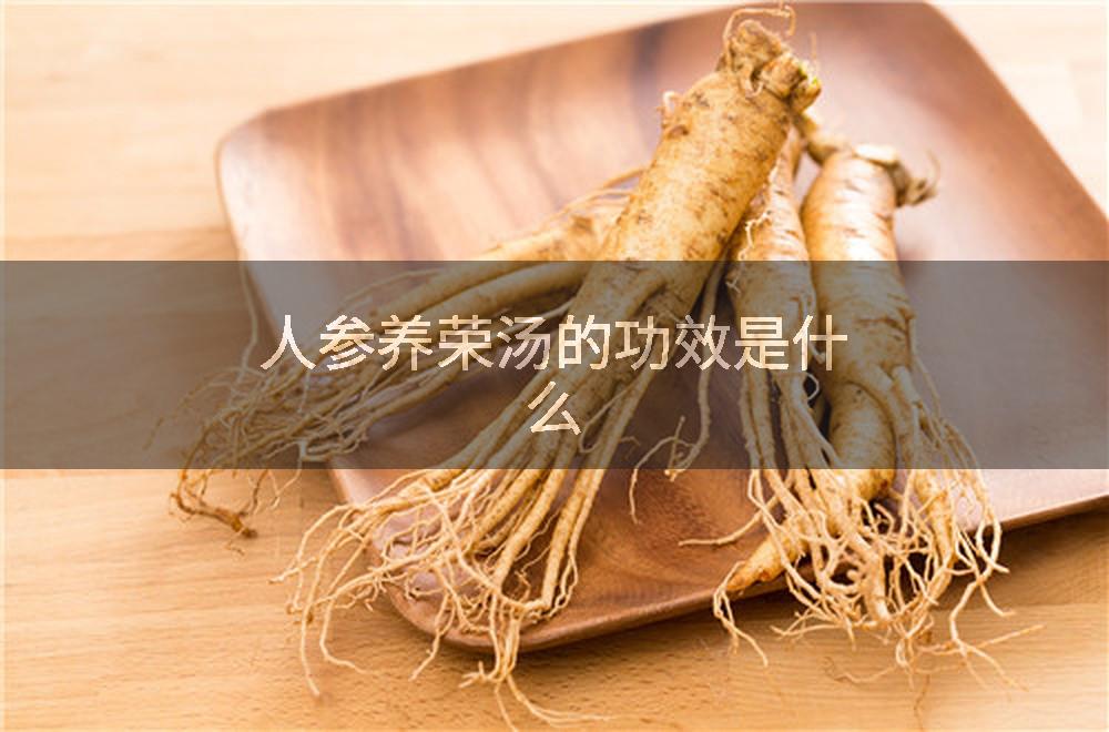 人参养荣汤的功效是什么