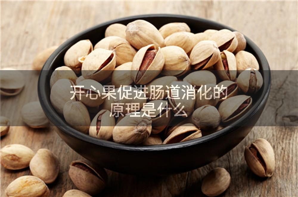 开心果促进肠道消化的原理是什么