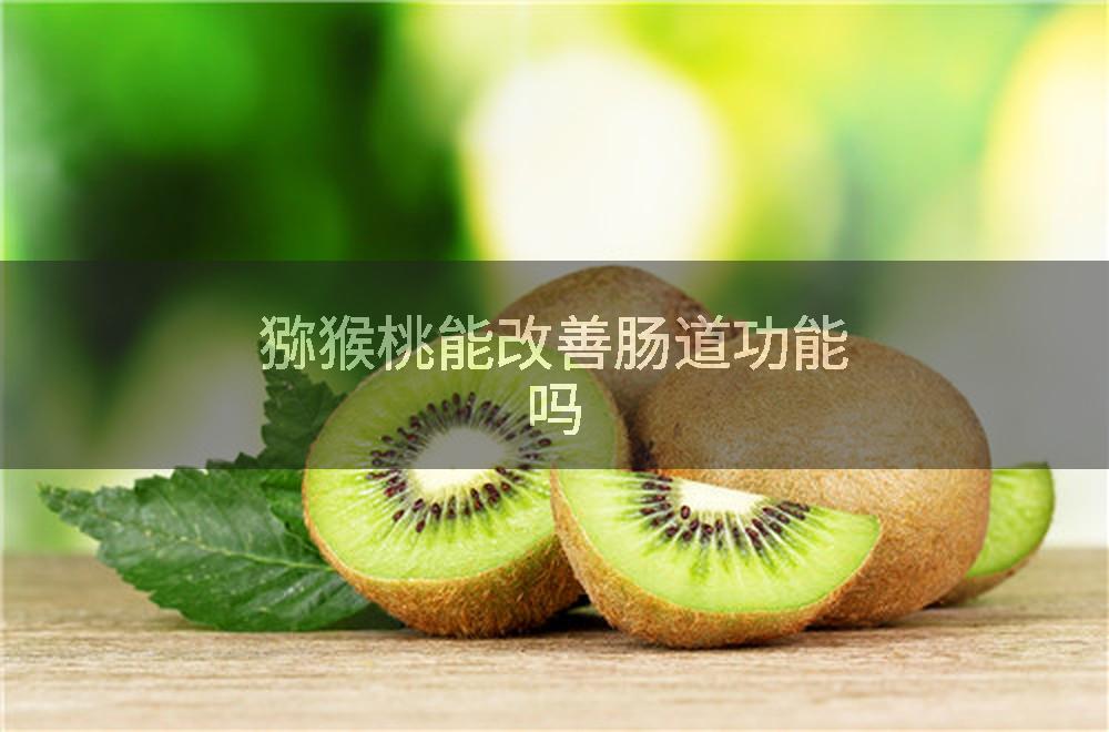 猕猴桃能改善肠道功能吗