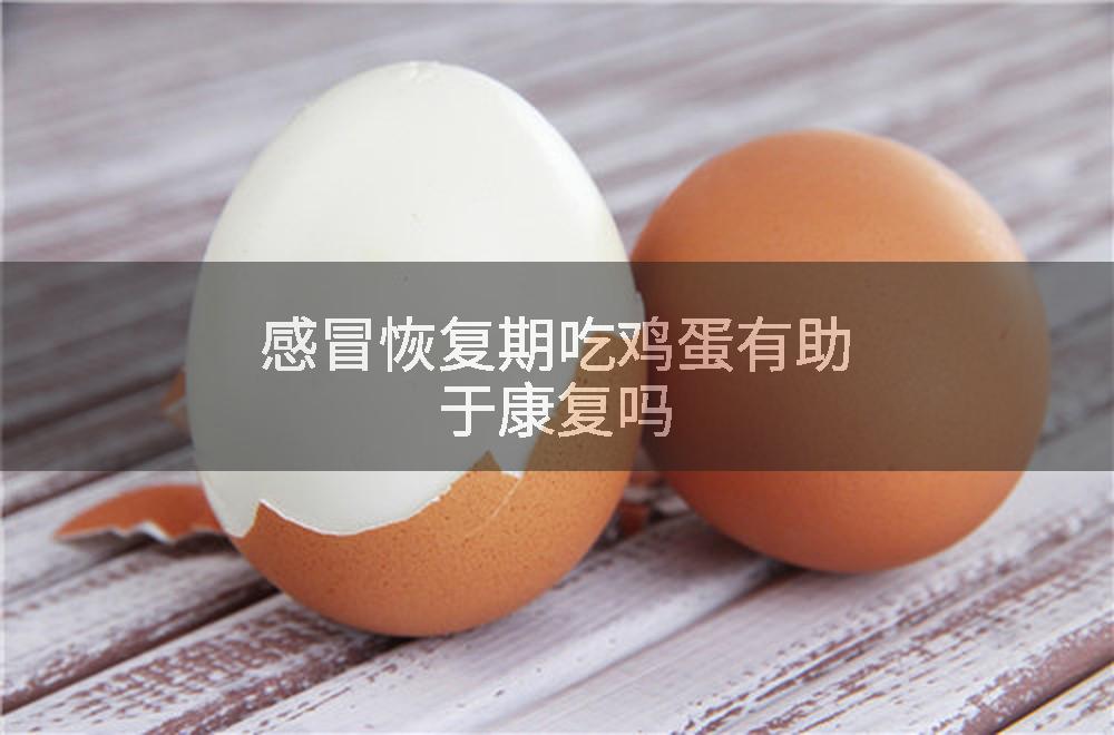 感冒恢复期吃鸡蛋有助于康复吗