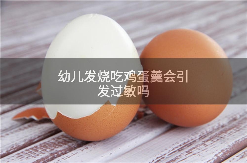 幼儿发烧吃鸡蛋羹会引发过敏吗