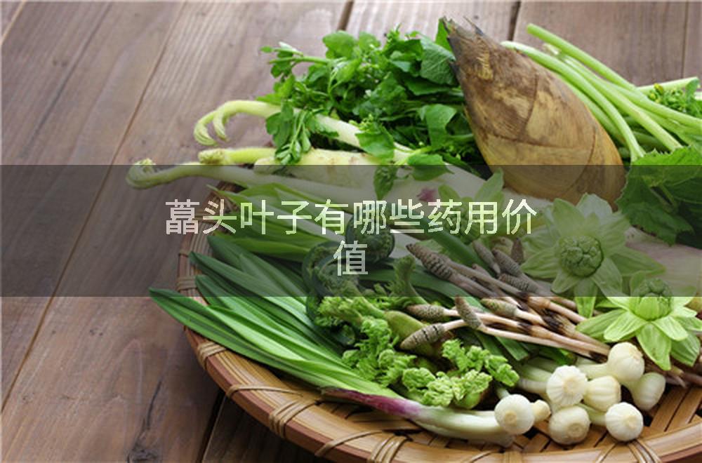 藠头叶子有哪些药用价值