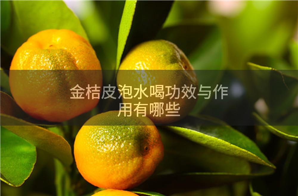 金桔皮泡水喝功效与作用有哪些