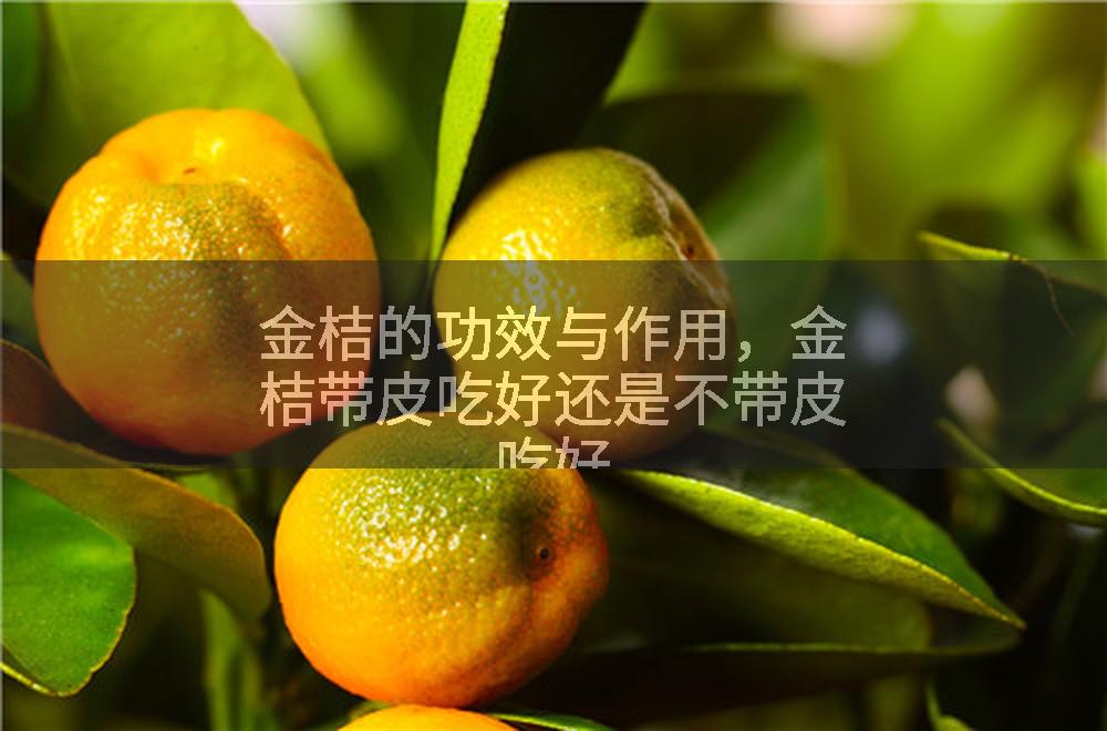 金桔的功效与作用，金桔带皮吃好还是不带皮吃好