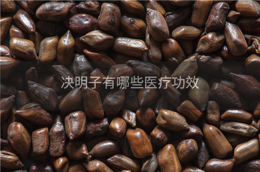决明子有哪些医疗功效