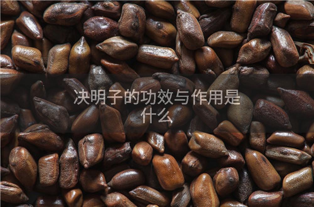 决明子的功效与作用是什么