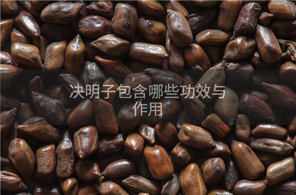 决明子包含哪些功效与作用