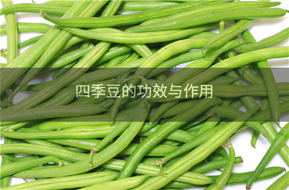 四季豆的功效与作用